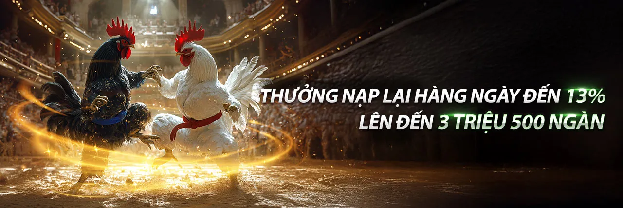 Đá gà trực tuyến GACAM67 Nhà Cái